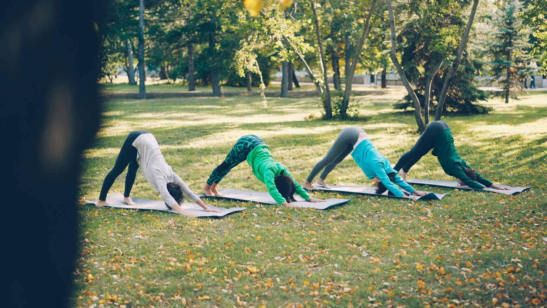 Groep doet oefeningen op matjes in het park